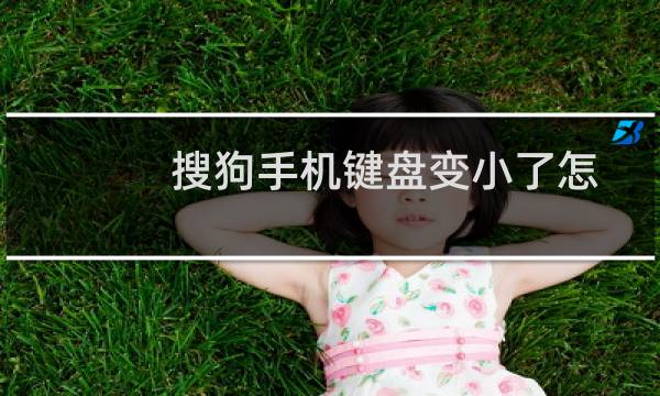 搜狗手机键盘变小了怎么恢复正常（手机键盘变小了怎么恢复正常）图片