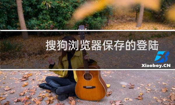 搜狗浏览器保存的登陆信息在哪里