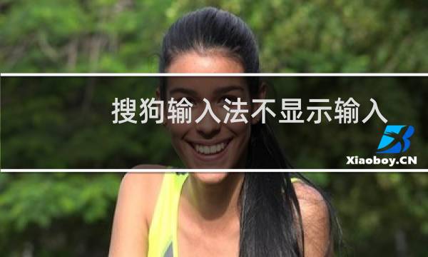 搜狗输入法不显示输入框怎么办?