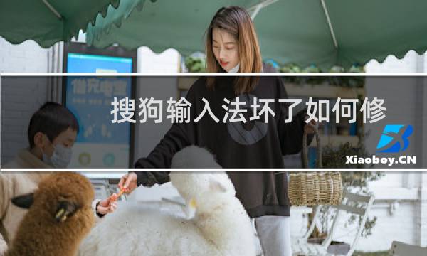 搜狗输入法坏了如何修复