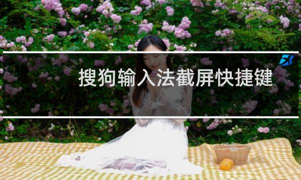 搜狗输入法截屏快捷键怎么设置?