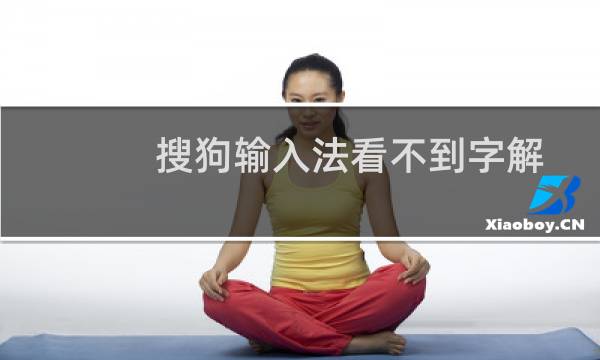 搜狗输入法看不到字解决办法