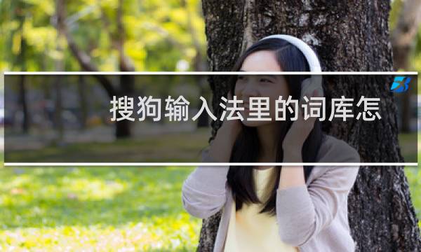 搜狗输入法里的词库怎么用（搜狗词库怎么使用（搜狗输入法常用词库在哪里看））图片