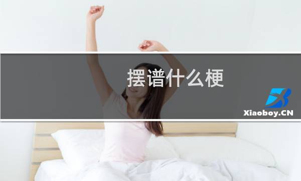 摆谱什么梗