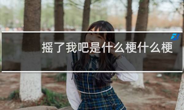 摇了我吧是什么梗什么梗