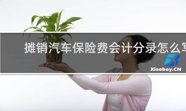 摊销汽车保险费会计分录怎么写图片