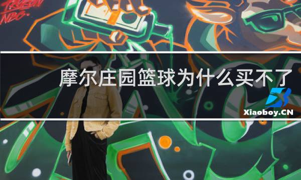 摩尔庄园篮球为什么买不了