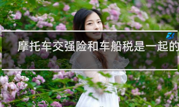 摩托车交强险和车船税是一起的吗图片