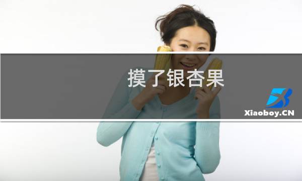 摸了银杏果