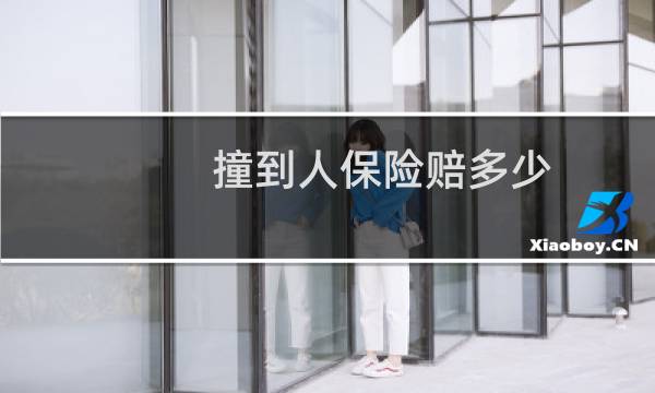 撞到人保险赔多少