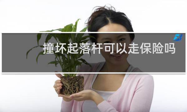 撞坏起落杆可以走保险吗