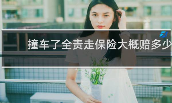 撞车了全责走保险大概赔多少
