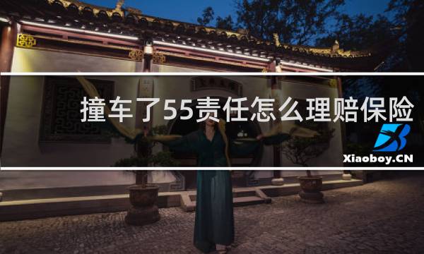 撞车了55责任怎么理赔保险
