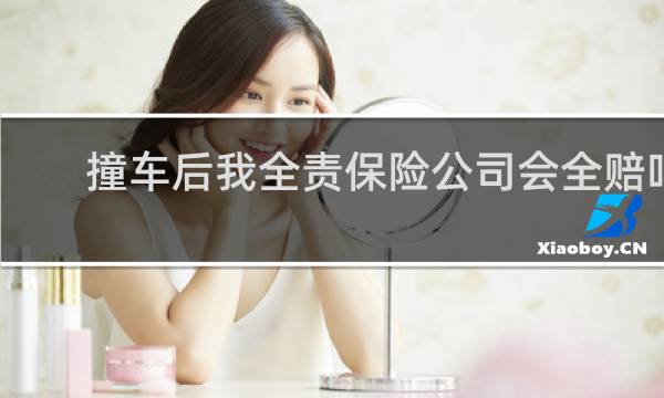撞车后我全责保险公司会全赔吗