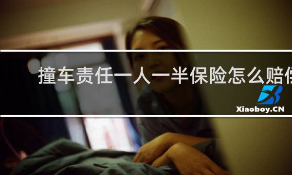撞车责任一人一半保险怎么赔偿图片