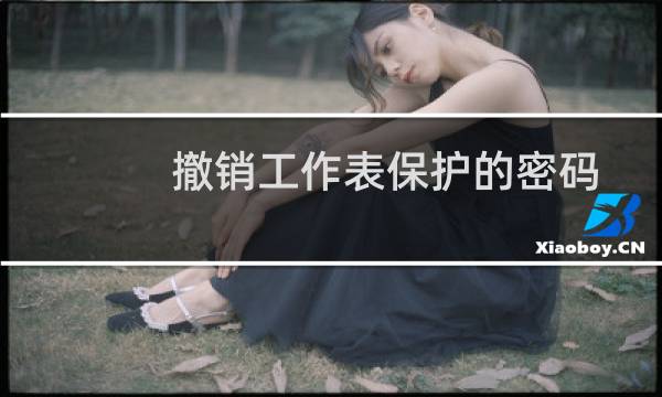 撤销工作表保护的密码是什么（撤销工作表保护）图片