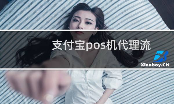 支付宝pos机代理流程