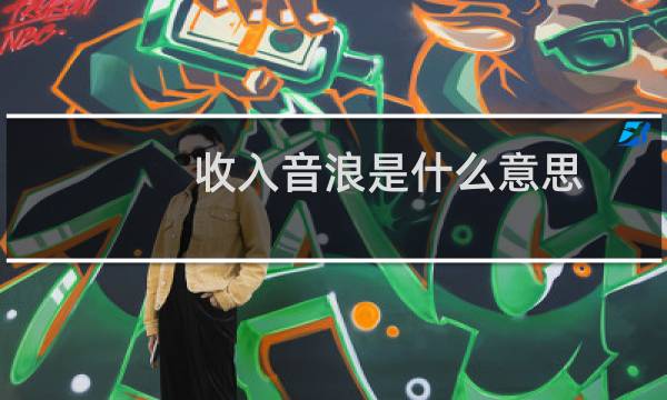 收入音浪是什么意思