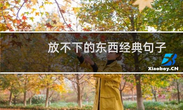 放不下的东西经典句子（那些关于放不下的句子）图片