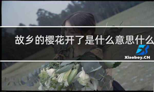 故乡的樱花开了是什么意思什么梗