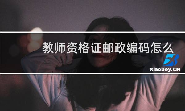 教师资格证邮政编码怎么填