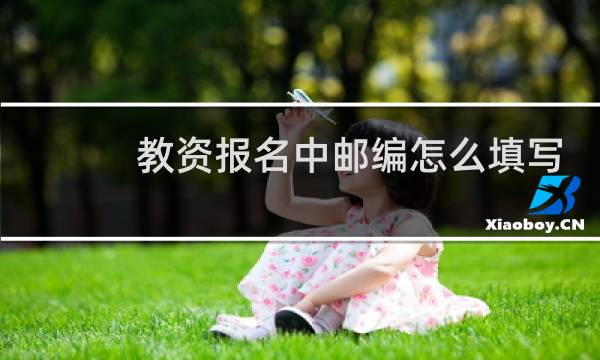 教资报名中邮编怎么填写