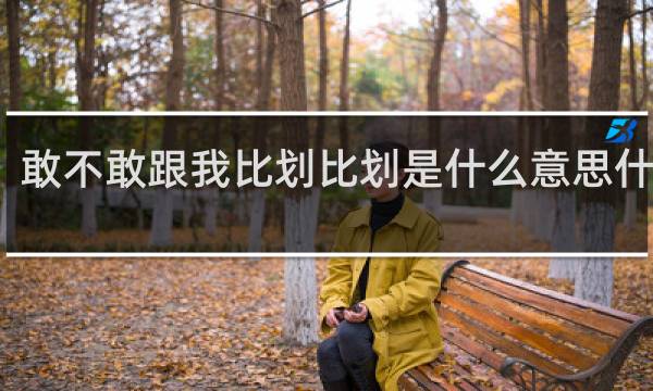 敢不敢跟我比划比划是什么意思什么梗