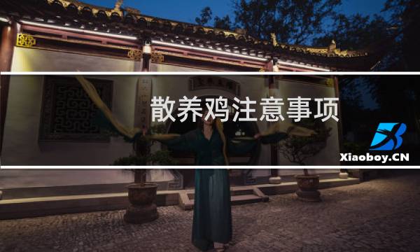 散养鸡注意事项