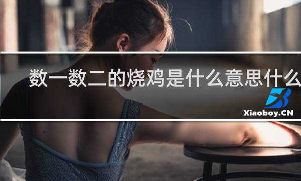 数一数二的烧鸡是什么意思什么梗