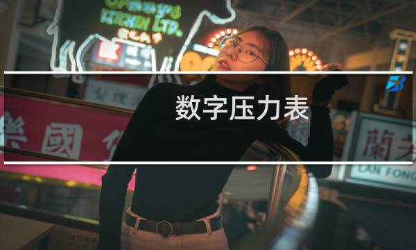 数字压力表