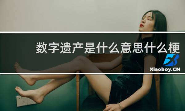 数字遗产是什么意思什么梗