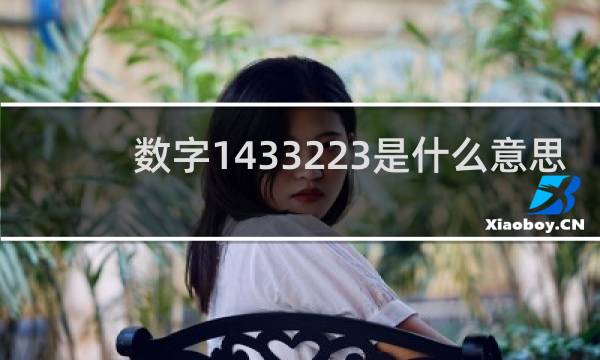 数字1433223是什么意思，暗示什么什么梗