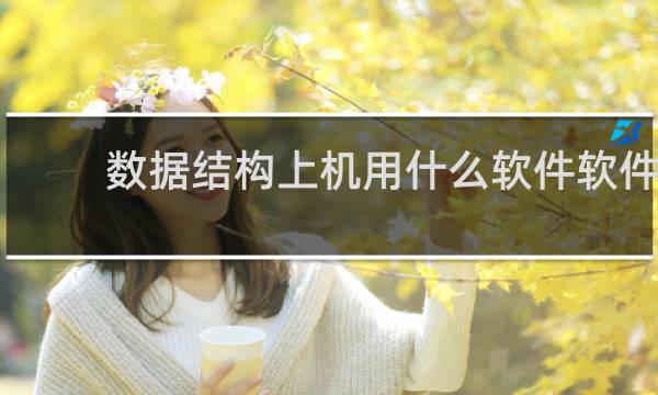 数据结构上机用什么软件软件