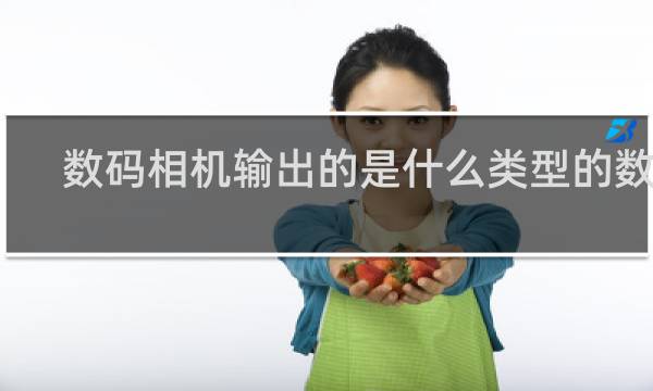 数码相机输出的是什么类型的数据