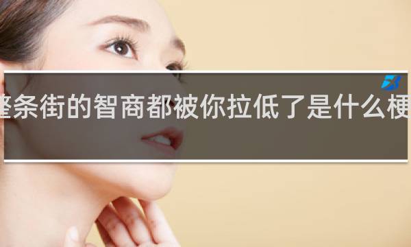 整条街的智商都被你拉低了是什么梗什么梗