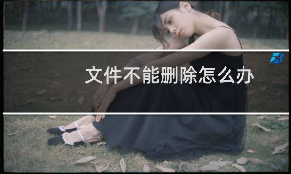 文件不能删除怎么办