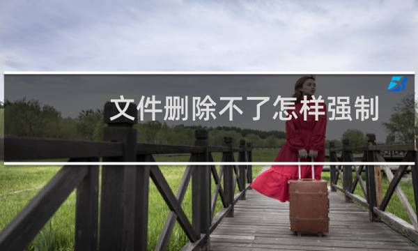 文件删除不了怎样强制删除（文件删除不了）图片