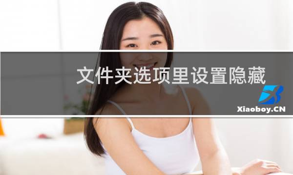 文件夹选项里设置隐藏的文件再也显示不出来？