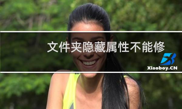 文件夹隐藏属性不能修改被锁定问题的解决方法