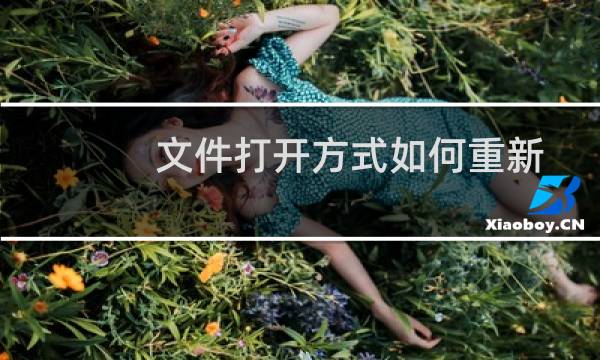 文件打开方式如何重新设置（文件打开方式）图片