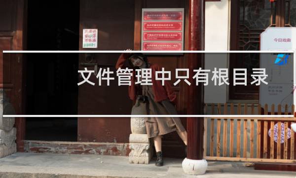 文件管理中只有根目录文件