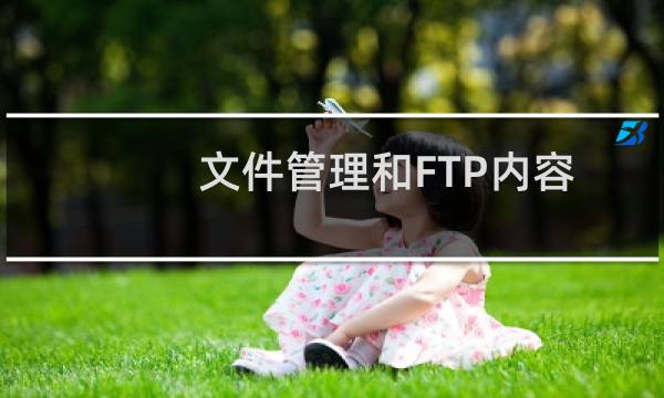 文件管理和FTP内容不同步