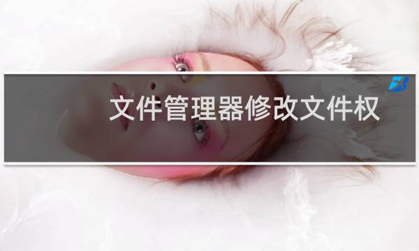 文件管理器修改文件权限不生效