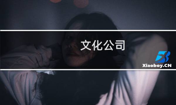 文化公司图片
