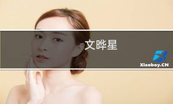 文晔星
