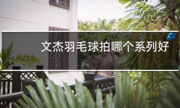 文杰羽毛球拍哪个系列好