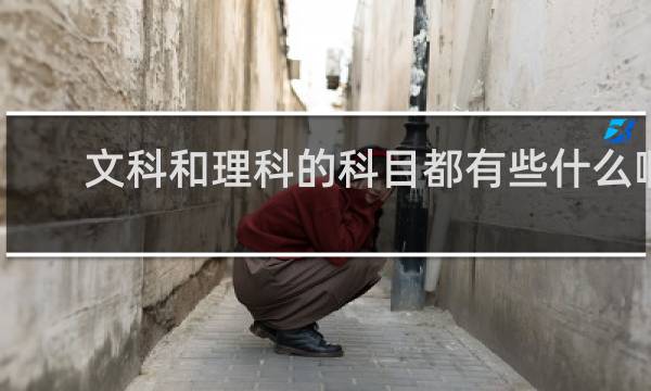 文科和理科的科目都有些什么啊