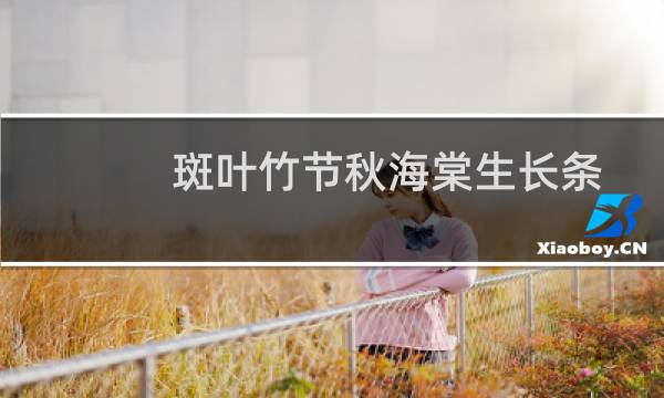 斑叶竹节秋海棠生长条件（斑叶竹节秋海棠怎样养）图片