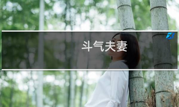 斗气夫妻(关于斗气夫妻的简介)图片