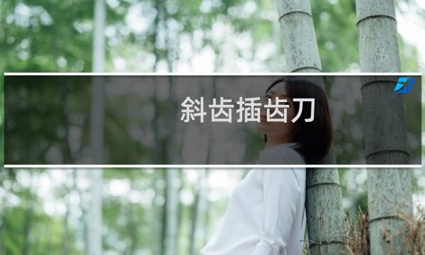 斜齿插齿刀(关于斜齿插齿刀的简介)图片